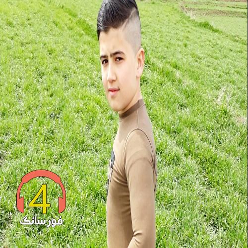 آهنگ گریه نکن از میثم برزنونی